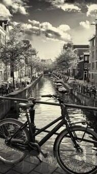 打球大连足球比分-从比分波动看大连足球的复兴之路，数据背后的热血与期待