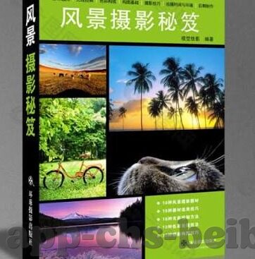 免费打森林舞会老虎机-免费打森林舞会老虎机，娱乐与风险之间的微妙平衡